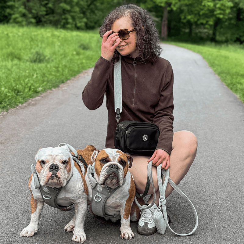 Trail & Glow Tweed Dog Harness & Lead Set - Colour Drops - Sage Tweed - Bailey and Coco (UK)