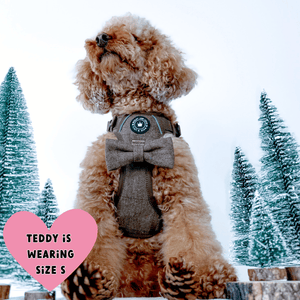 Trail & Glow Tweed Dog Harness - Oxford Tweed - Bailey and Coco (UK)