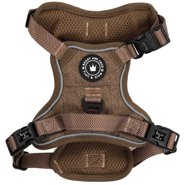 Trail & Glow Tweed Dog Harness - Oxford Tweed - Bailey and Coco (UK)