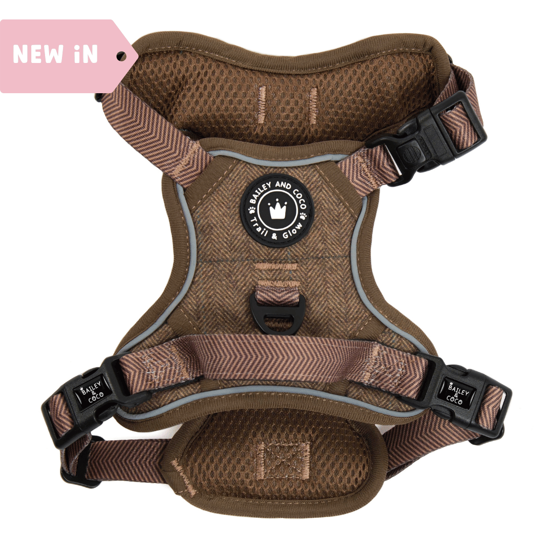 Trail and Glow Oxford Tweed dog harness showing the padded design ideal for broad-chested Boxers