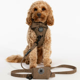 cavapoo harness size
