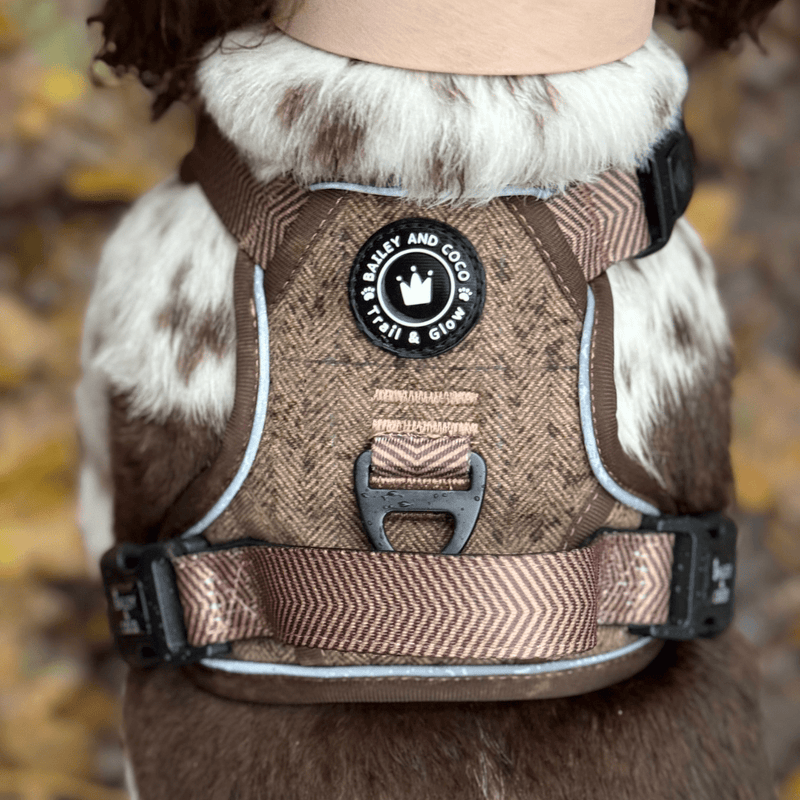 dog harness for sprocker spaniel