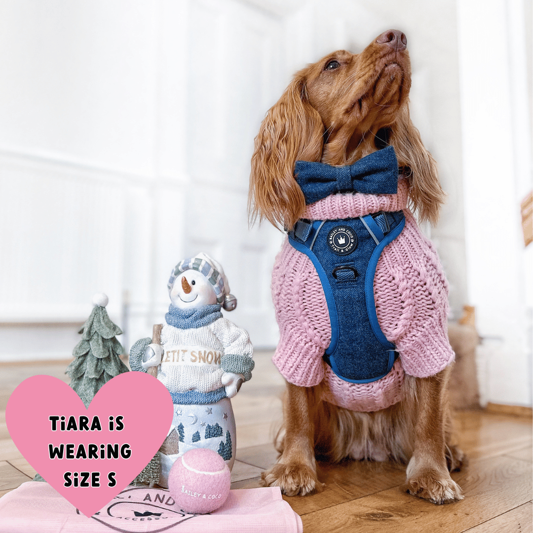 best harness for cocker spaniel uk