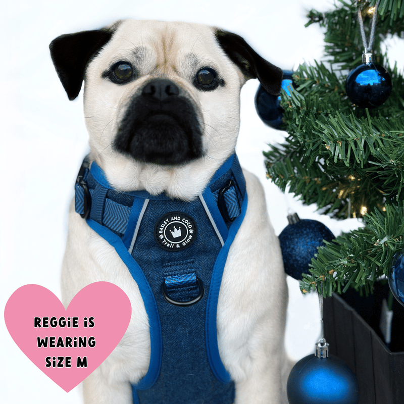 pug harness uk