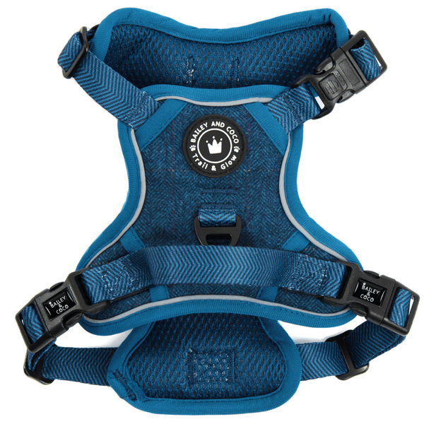 Trail & Glow Tweed Dog Harness - Sapphire Tweed - Bailey and Coco (UK)