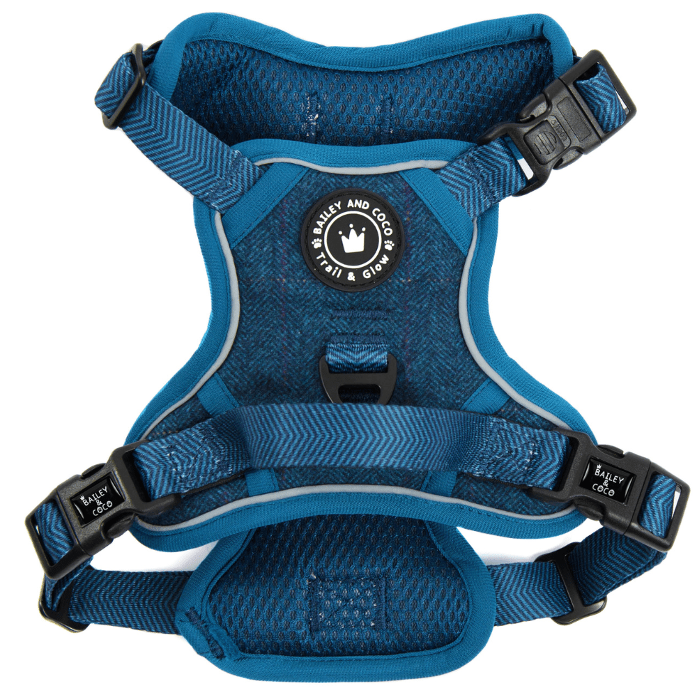 Trail & Glow Tweed Dog Harness - Sapphire Tweed - Bailey and Coco (UK)