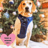 best harness for a beagle