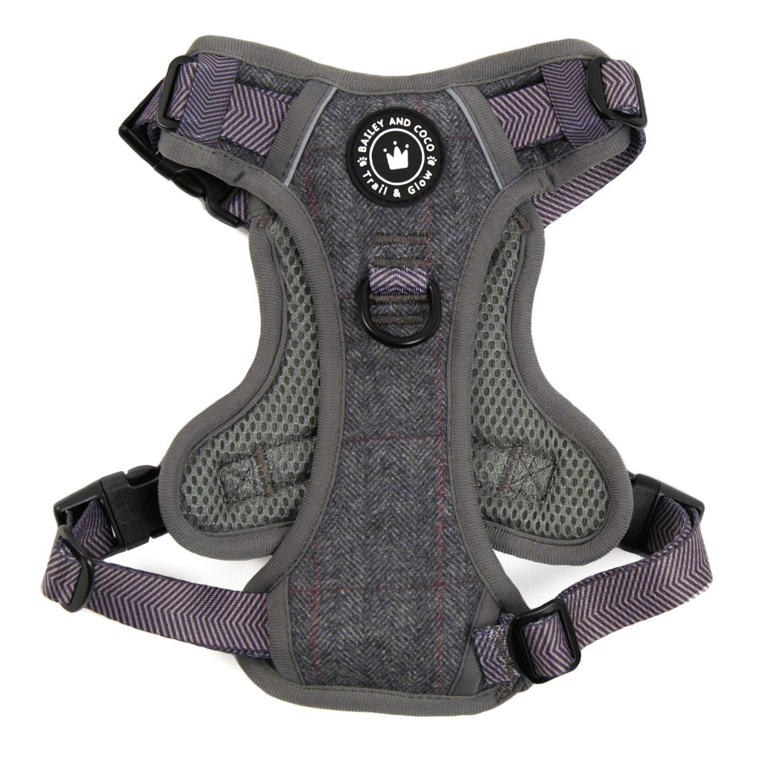 Trail & Glow Tweed Dog Harness - Slate Tweed - Bailey and Coco (UK)