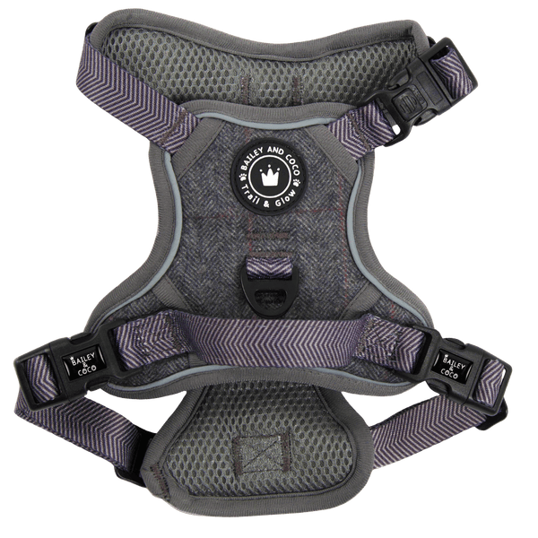 Trail & Glow Tweed Dog Harness - Slate Tweed - Bailey and Coco (UK)