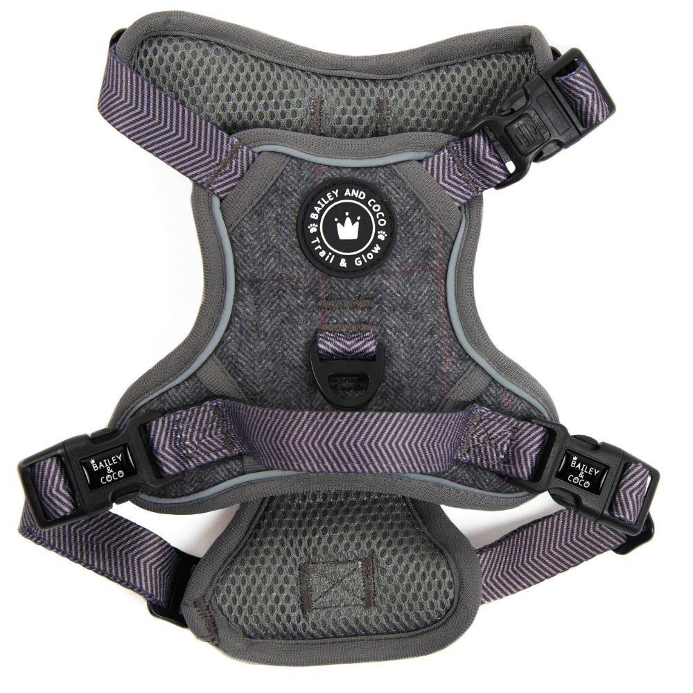 Trail & Glow Tweed Dog Harness - Slate Tweed - Bailey and Coco (UK)