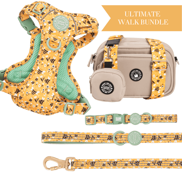 Wanna - Bee Adjustable Dog Harness, Lead, Collar & Latte Dog Walking Bag Bundle - Bailey and Coco (UK)