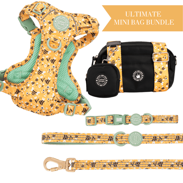 Wanna - Bee Colour Drops - Adjustable Dog Harness, Lead, Collar & Mini Black Dog Walking Bag Bundle - Bailey and Coco (UK)