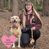 Wanna - Bee Colour Drops - Adjustable Dog Harness, Lead, Collar & Mini Black Dog Walking Bag Bundle - Bailey and Coco (UK)