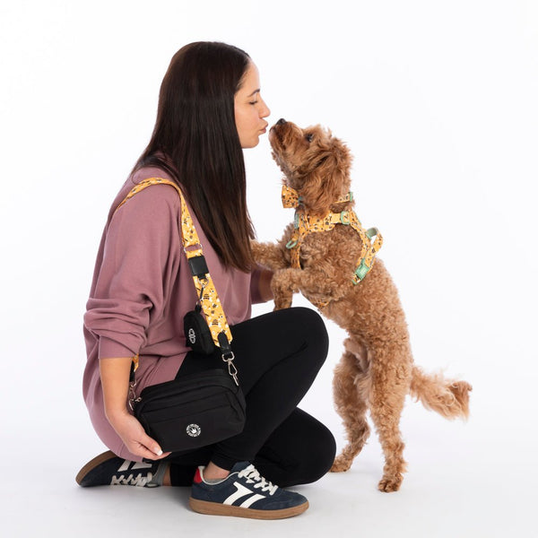 Wanna - Bee Strap for Dog Walking Bag - Bailey and Coco (UK)