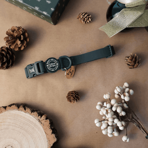 Waterproof Adjustable Collar - Colour Drops - Forest Green - Bailey and Coco (UK)