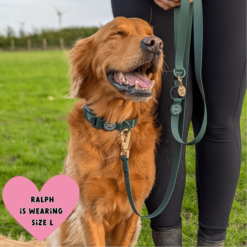 Waterproof Adjustable Collar - Colour Drops - Forest Green - Bailey and Coco (UK)