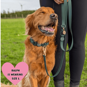 Waterproof Adjustable Collar - Colour Drops - Forest Green - Bailey and Coco (UK)