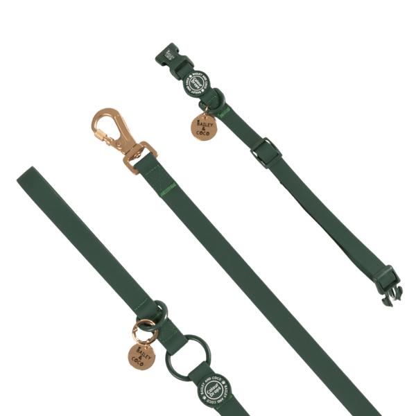 Waterproof Dog Lead & Collar Set - Colour Drops - Forest Green - Bailey and Coco (UK)
