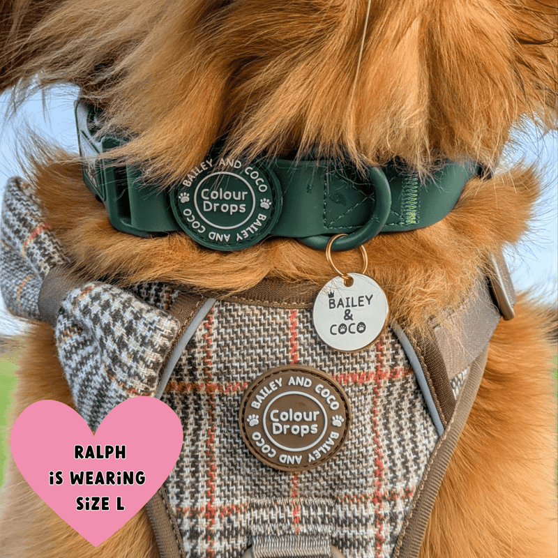 Waterproof Dog Lead & Collar Set - Colour Drops - Forest Green - Bailey and Coco (UK)