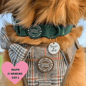 Waterproof Dog Lead & Collar Set - Colour Drops - Forest Green - Bailey and Coco (UK)