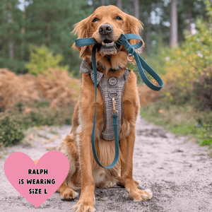 Waterproof Dog Lead & Collar Set - Colour Drops - Forest Green - Bailey and Coco (UK)