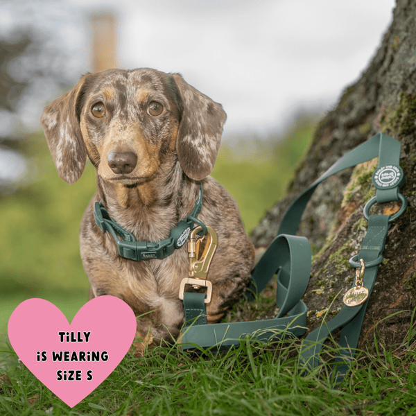 Waterproof Dog Lead & Collar Set - Colour Drops - Forest Green - Bailey and Coco (UK)