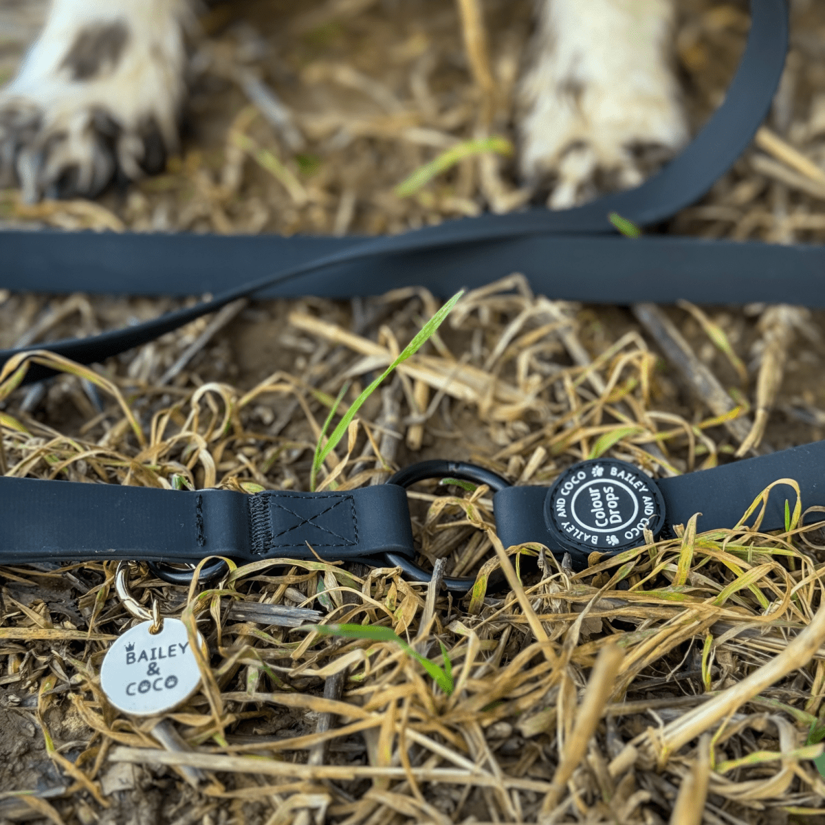 Waterproof Dog Lead & Collar Set - Colour Drops - Jet Black - Bailey and Coco (UK)