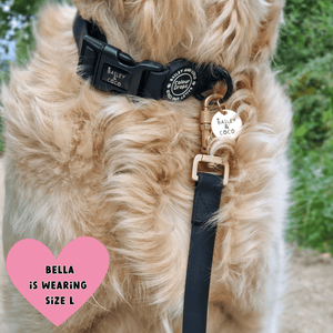 Waterproof Dog Lead & Collar Set - Colour Drops - Jet Black - Bailey and Coco (UK)