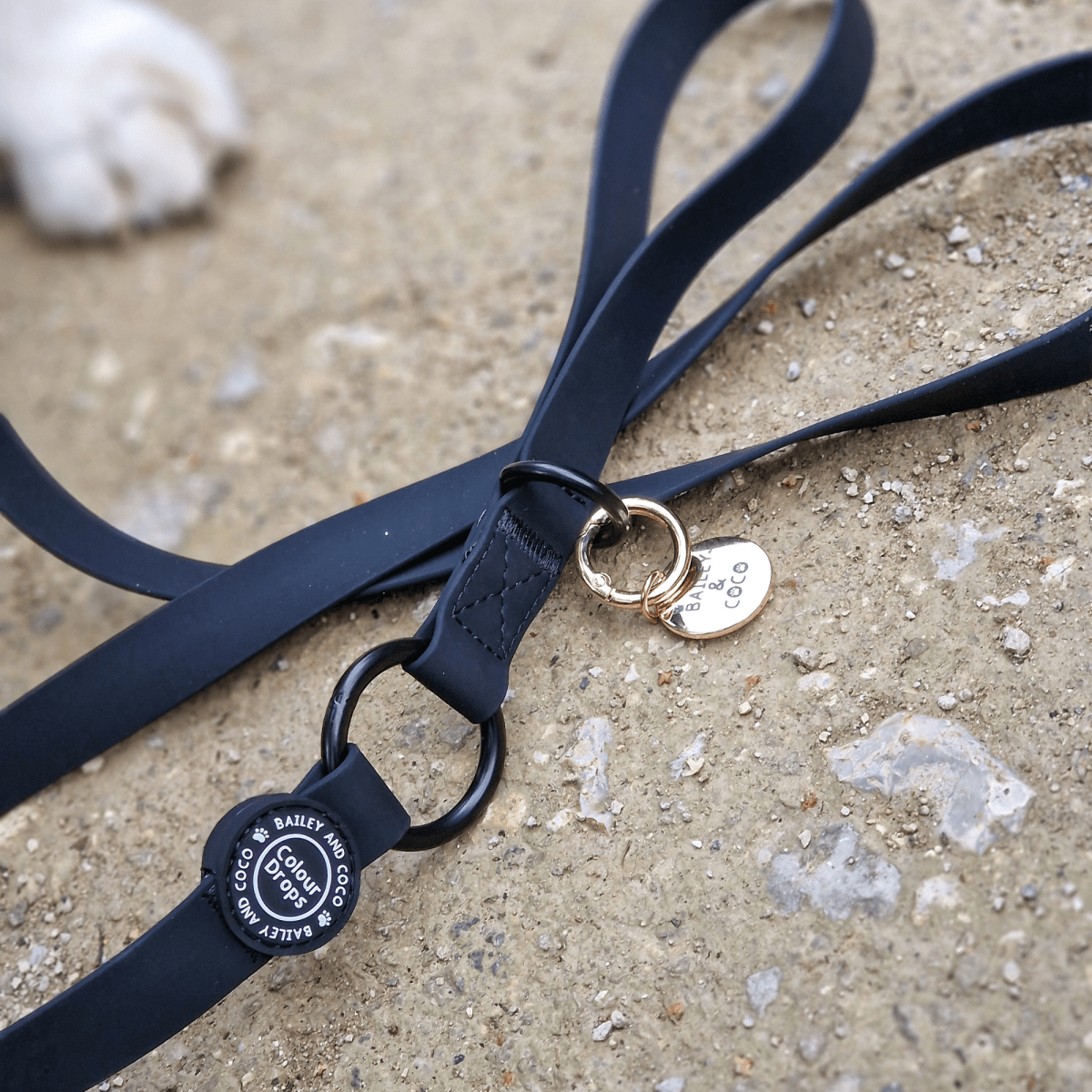 Waterproof Dog Lead & Collar Set - Colour Drops - Jet Black - Bailey and Coco (UK)