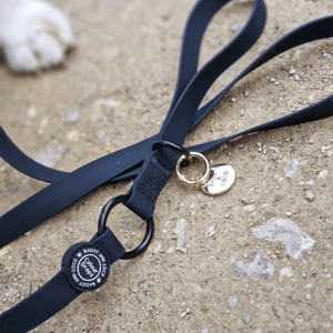 Waterproof Dog Lead & Collar Set - Colour Drops - Jet Black - Bailey and Coco (UK)