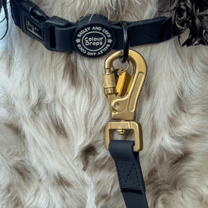 Waterproof Dog Lead & Collar Set - Colour Drops - Jet Black - Bailey and Coco (UK)