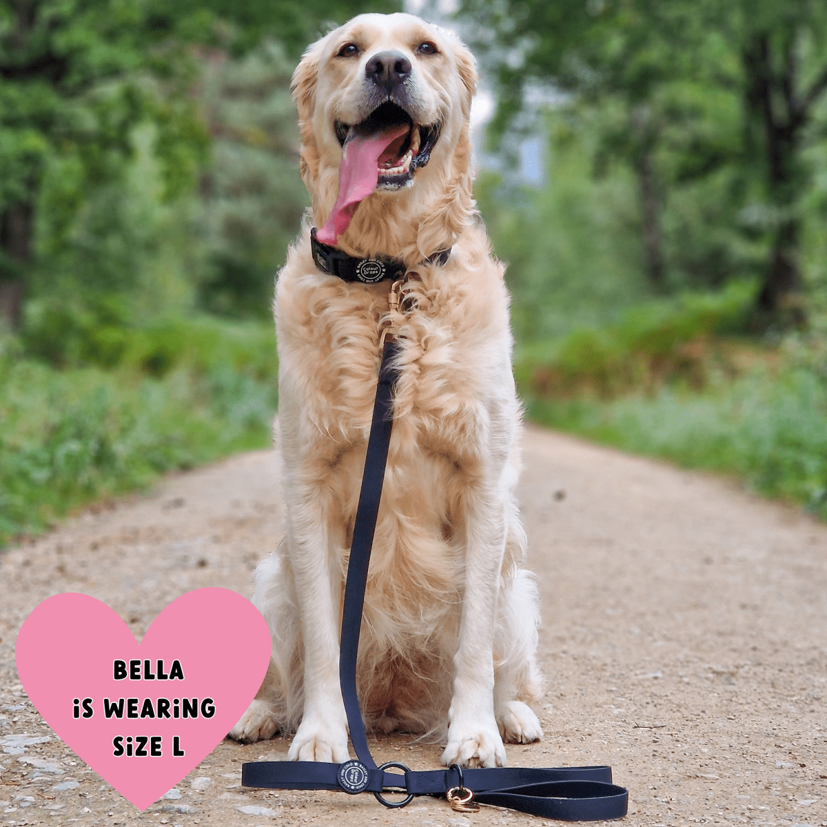 Waterproof Dog Lead & Collar Set - Colour Drops - Jet Black - Bailey and Coco (UK)