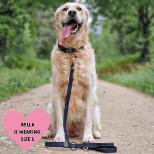 Waterproof Dog Lead & Collar Set - Colour Drops - Jet Black - Bailey and Coco (UK)