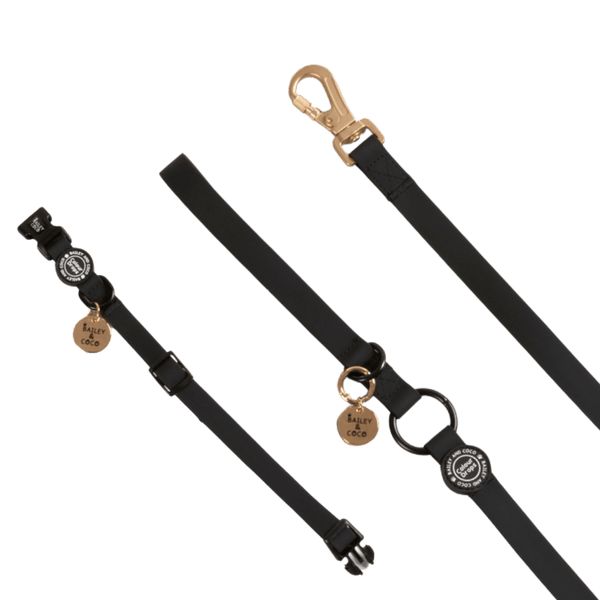 Waterproof Dog Lead & Collar Set - Colour Drops - Jet Black - Bailey and Coco (UK)