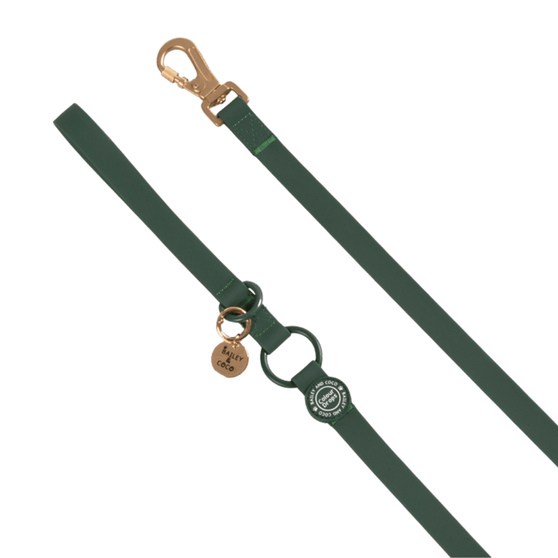 Waterproof Dog Lead - Colour Drops - Forest Green - Bailey and Coco (UK)