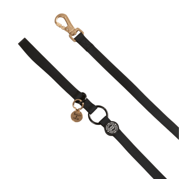 Waterproof Dog Lead - Colour Drops - Jet Black - Bailey and Coco (UK)