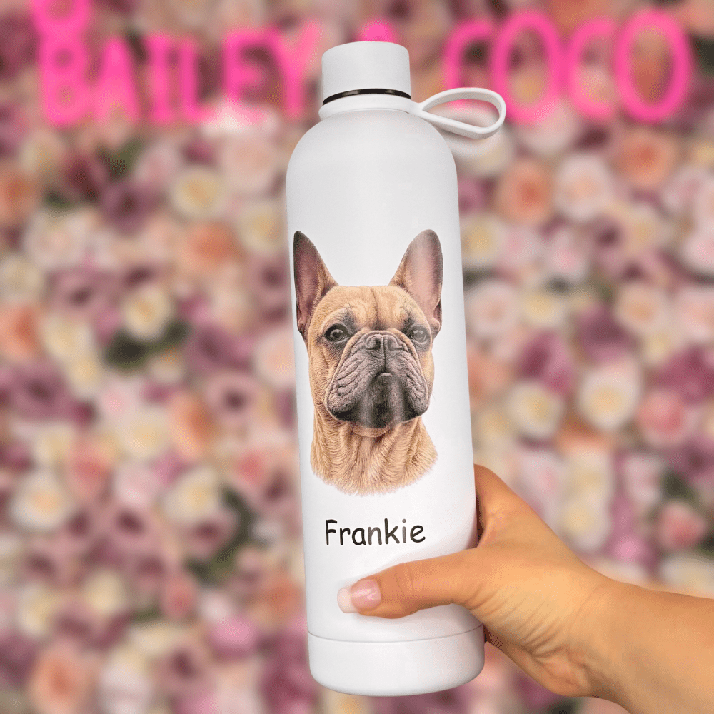 1L personalised dog water bottle ideal for long walks and warm weather
