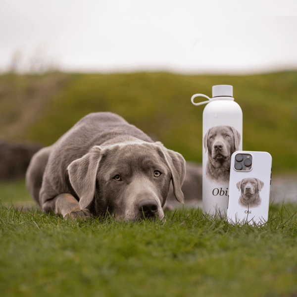 Your Dog on a Bottle (Personalised) – 1L Pulse Bottle - Bailey and Coco (UK)
