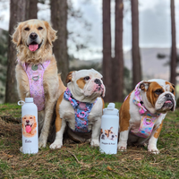 Your Dog on a Bottle (Personalised) – 1L Pulse Bottle - Bailey and Coco (UK)
