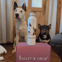Your Dog on a Bottle (Personalised) – 1L Pulse Bottle - Bailey and Coco (UK)