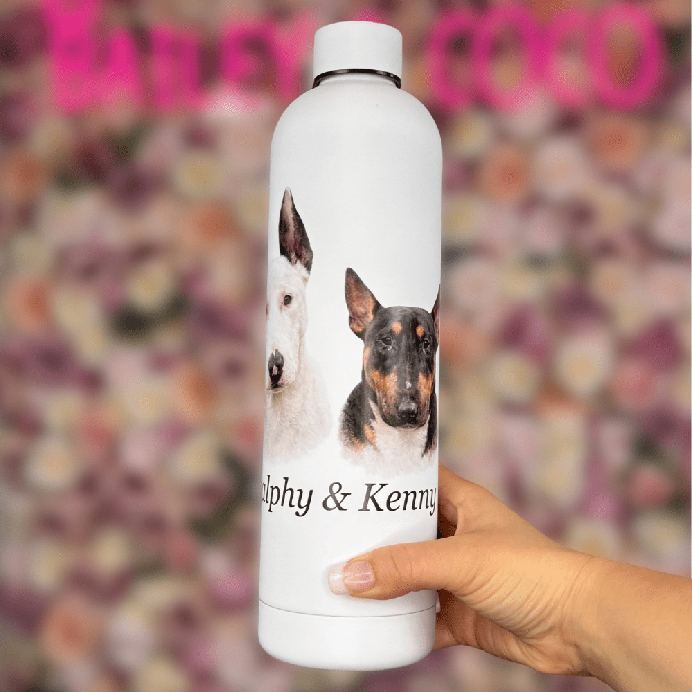 Dog drinking water on a walk from a personalised bottle