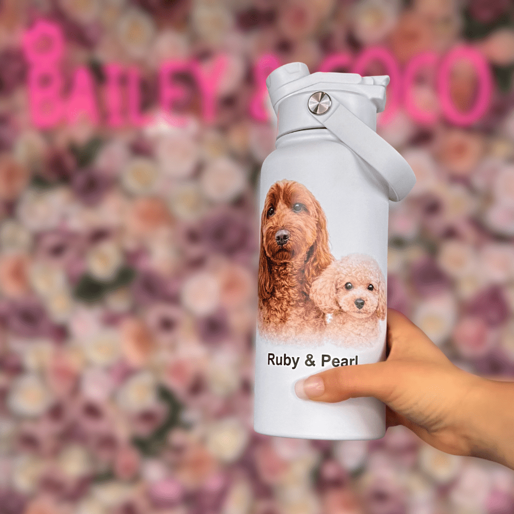 Bailey and Coco personalised dog water bottle range showing 500ml and 1L options in stainless steel