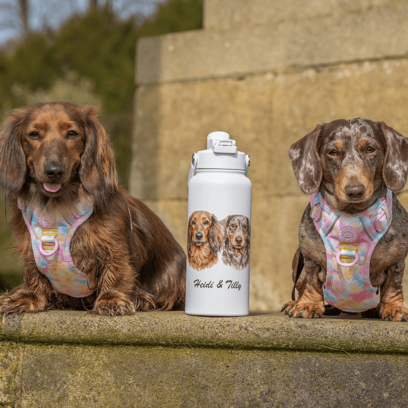 Your Dog on a Bottle (Personalised) – 1L Switch Bottle - Bailey and Coco (UK)