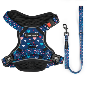 Dog Harness and Lead Set - All You Need Is Love.