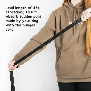 bungee dog lead extension