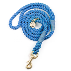 blue rope dog lead