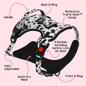 Trail & Glow® Adjustable Dog Harness - On the Dot.