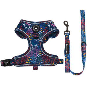 Glow Harness® and Lead Set - Enchanted.