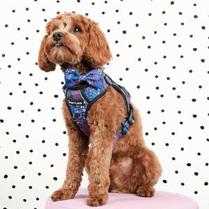 Trail & Glow® Dog Harness - Enchanted.