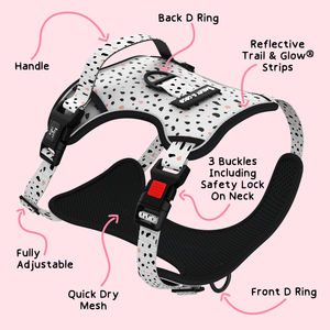 Trail & Glow® Dog Harness - Ditsy Dalmatian.